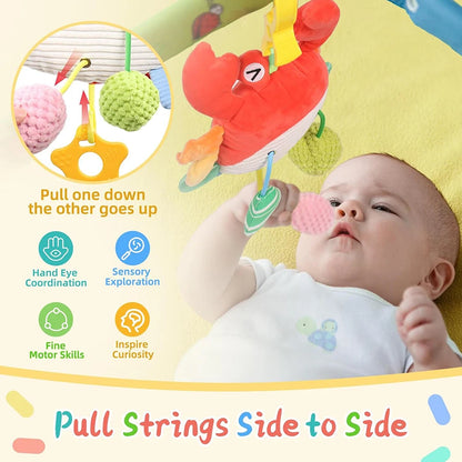 Musical Car Seat Toy - HYPERMALL