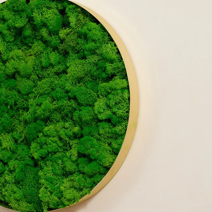 Real Moss Wall Art Unique 